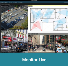Luxriot EVO Live Monitoring